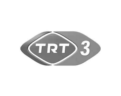 TRT 3